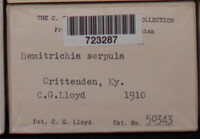 Image Associated With the Occurence